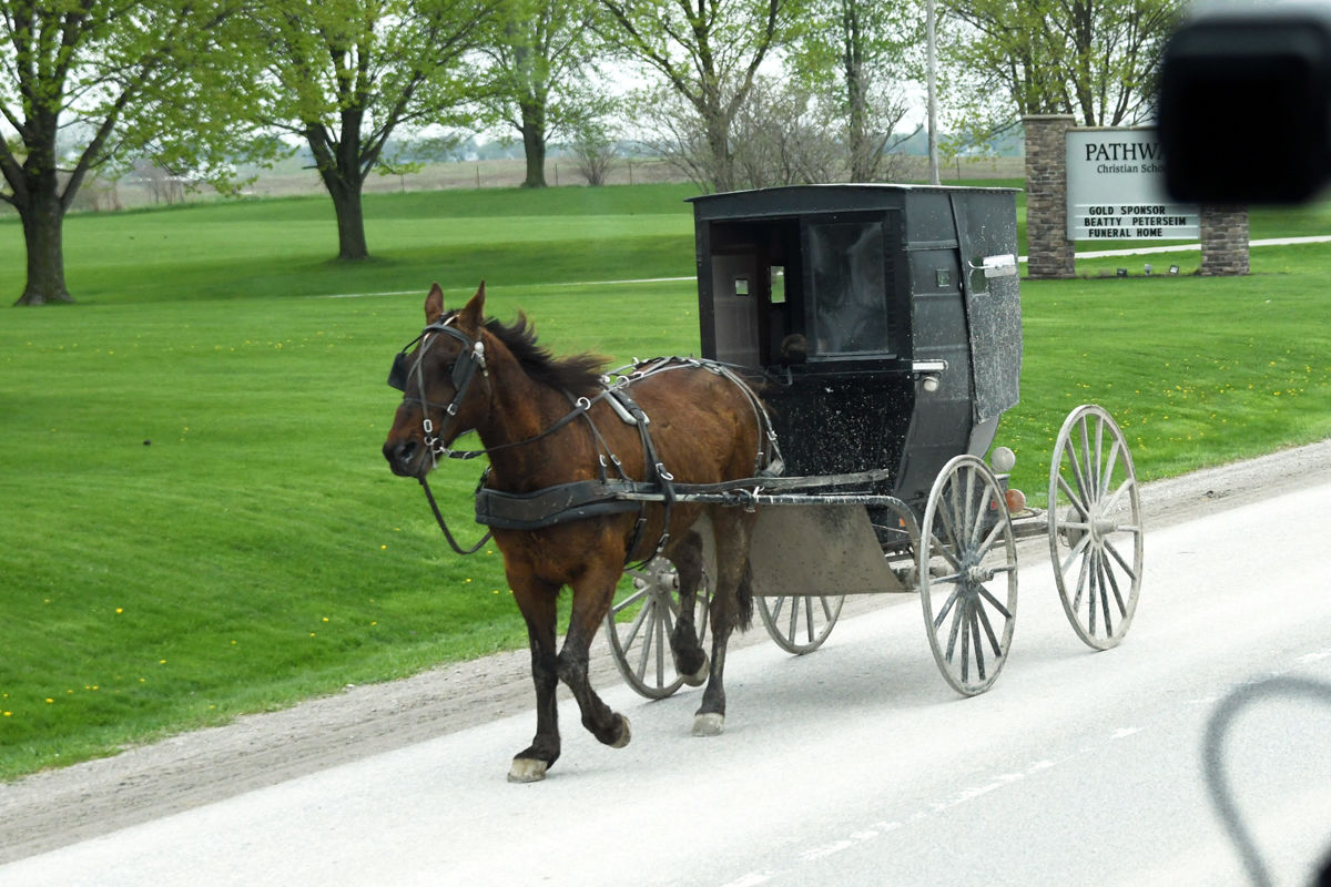 133 An Amish buggy near Kalona.JPG